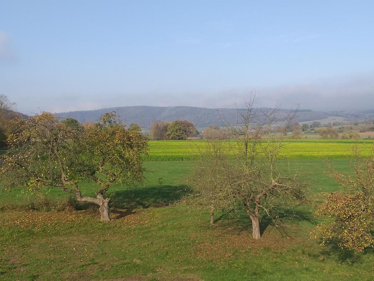 Ferienwohnungen Zum Lindenwirt Oberweser Exteriör bild